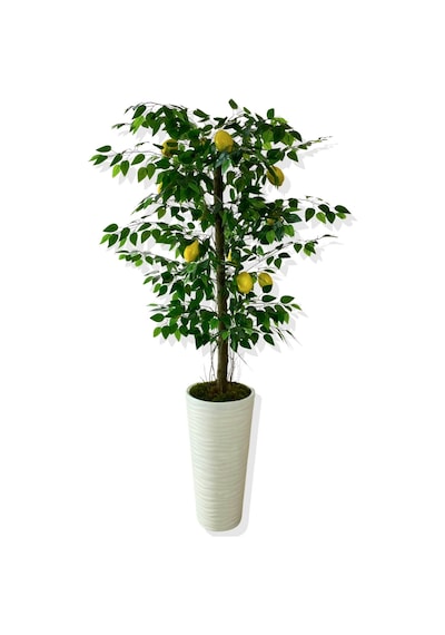 Cihan Çiçekçilik Yapay Ağaç Limon Ağacı 170 Cm 56x30x20 Beyaz Kumsal Saksı Yeşil