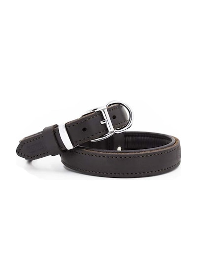 Doggie Yağlı Deri Köpek Boyun Tasması L Kahverengi 2.5x37-45