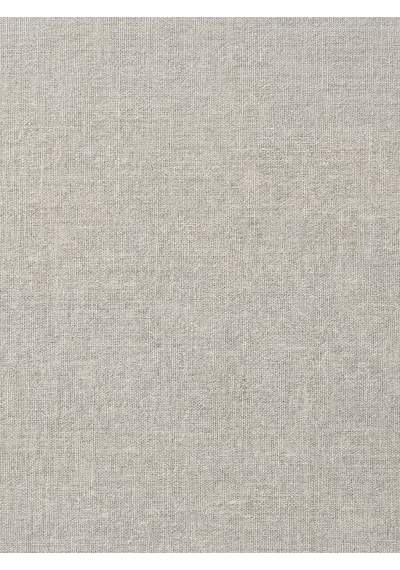 Regular Fit Kadın Gömlek U.kol Light Beige