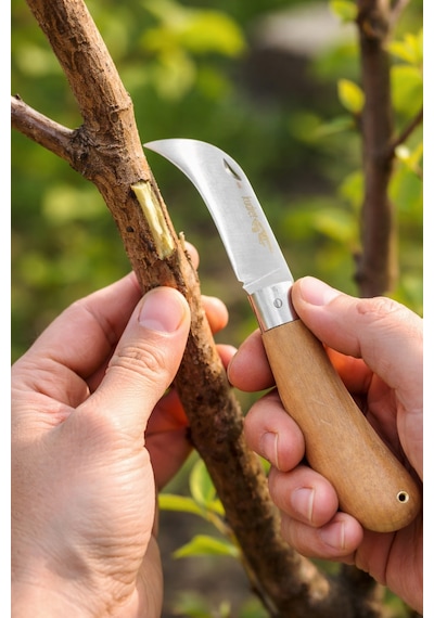 Senbang Kamp Bıçağı Seti 3 Lü El Yapımı Keskin Çelik Outdoor Bıçak, Ahşap Ve Krem Saplı Gri