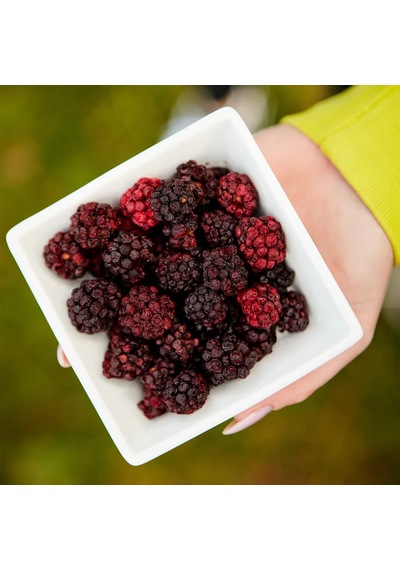 3'lü Paket Freeze Dried Böğürtlen - Dondurularak Kurutulmuş Böğürtlen 20g X 3 1 Adet