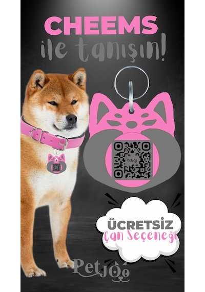 Petjoo 18.Cheems Gri-Pembe Qr'lı Köpek Künyesi