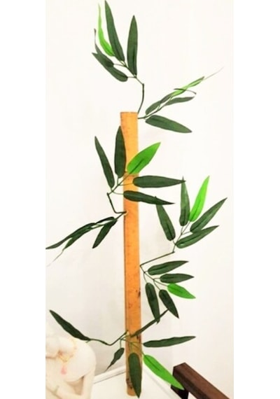 Rüzgar Çiçekcilik 50 Cm 25 Adet Bambu Yeşil