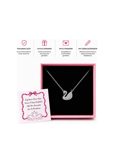 Çelik Kuğu Figürlü Silver Kolye Taşlı Kadın Kolye Gümüş Gümüş