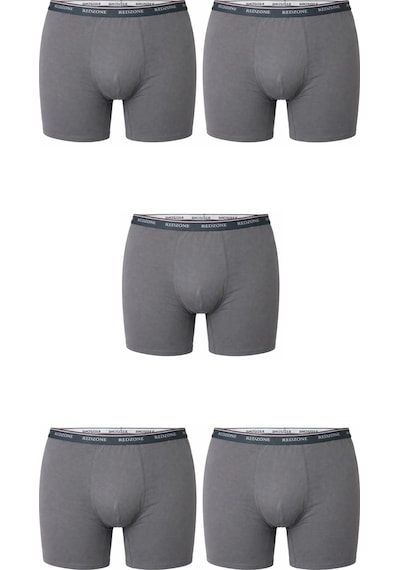5 Li Paket Erkek Büyük Beden Rahat Kalıp Redzone Likralı Bambu Boxer Gri