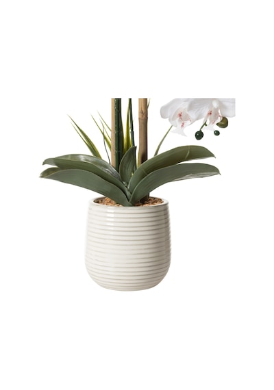 Mudo Home Rıva Saksılı Orkide 60 Cm Beyaz