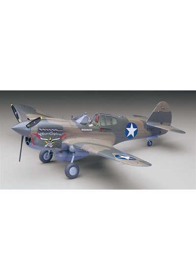 1/32 P-40e Warhawk Savaş Uçağı Maketi, Hasegawa 08879