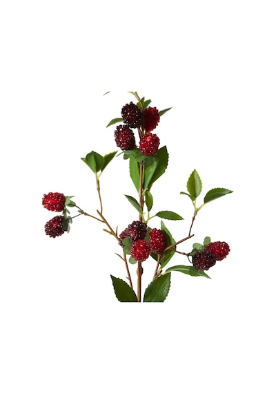 Mudo Home Orman Meyvesi Dal Çiçek 64 Cm Diğer