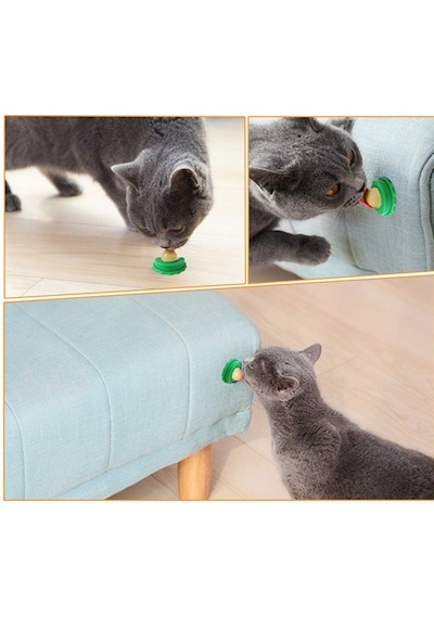 Mixpet Catnipli Şeker Kedi Yalama Enerji Topu