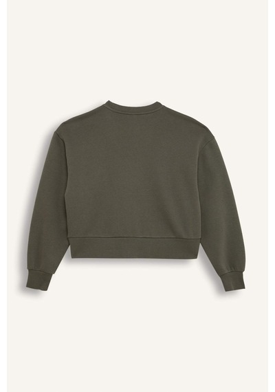 DeFacto Boxy Fit Bisiklet Yaka Kalın Basic Düz Sweatshirt B8568AX24WNKH422 Haki