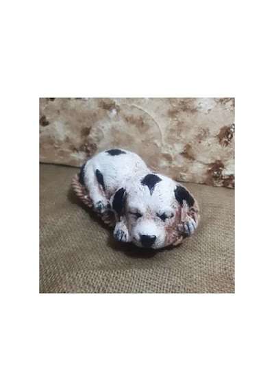 El Yapımı Köpek Yavrusu Biblosu,sepette Yatan Köpek Yavrusu Biblosu.