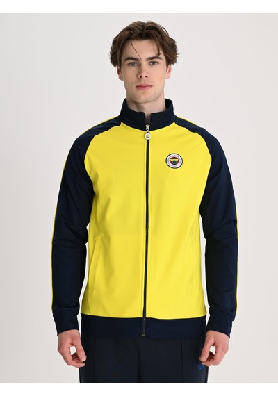 Fenerbahçe Sarı Tribün Nakış Logolu Erkek Oversize Sweatshirt Sari