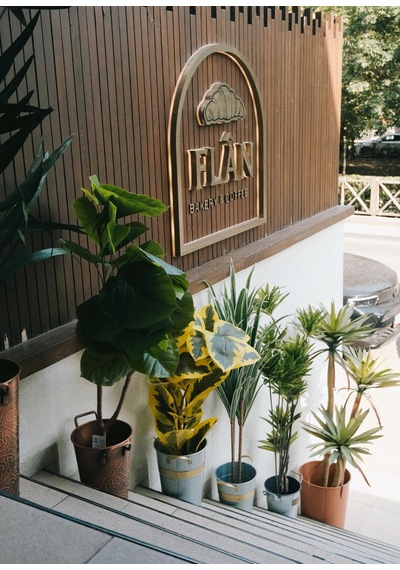 The Mia Yapay Ficus Altissima Ağacı Sarı Yeşil 170 Cm