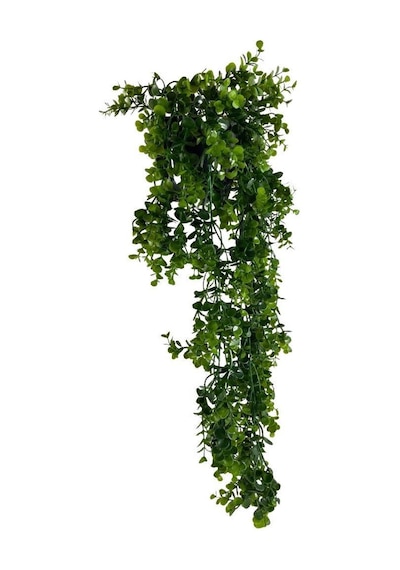 Yapay Çiçek Saksıda Sarkan Şimşir Okaliptus Yapay Sarmaşık 60Cm