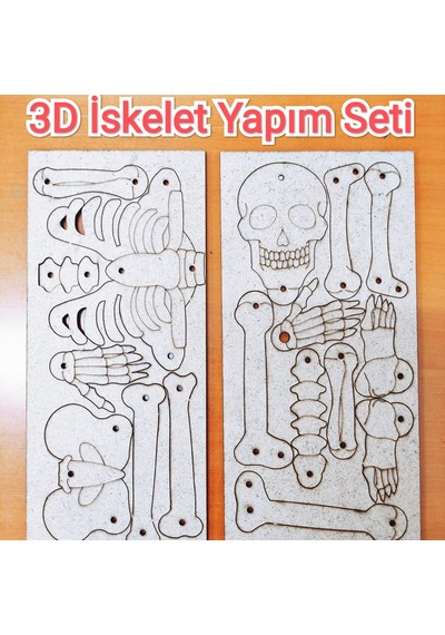 Iskelet Sistemi Yapım Seti Ahşap Boyanabilir Montessori Eğitim