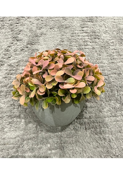 Modern Gri Saksıda Gerçekçi Yapay Dekoratif Bitki 17 X13 Cm Ev Ve Ofis Dekoru Çok Renkli