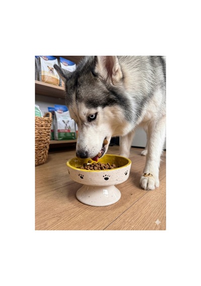 Çift Renk Ayaklı Yüksek Mama Kabı Seramik - Kedi Ve Köpek