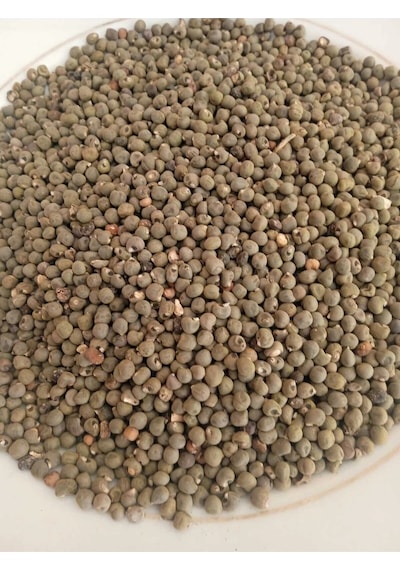 Bamya Tohumu Yerli 500 Gr sız- Yenilebilir 1. Kalite Elenmiş Yeni Mahsül