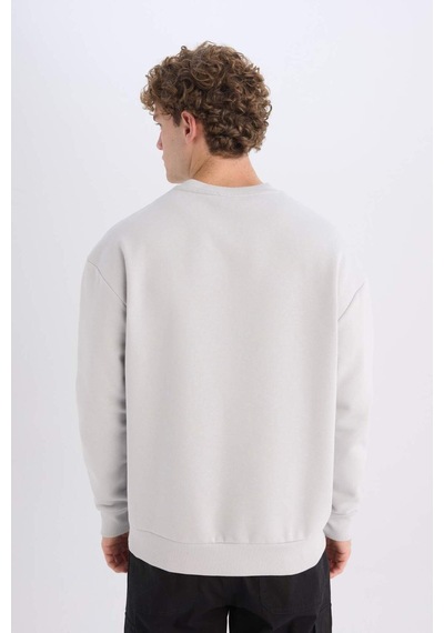DeFacto Boxy Fit Bisiklet Yaka Baskılı Sweatshirt X8282AZ24AUGR184