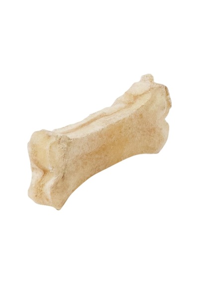 Mordimi Press Köpekler İçin Kemik, 25'li, Naturel