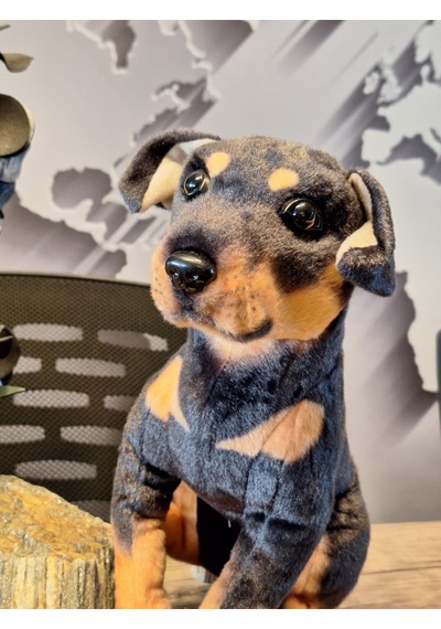 Sevimli Doberman Köpeği 35cm Siyah