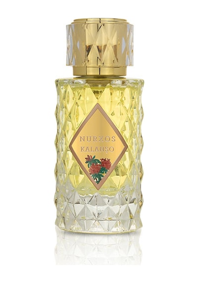 Nurxos 9708 Kalanşo EDP Erkek Parfümü 8681124697080 65 ML