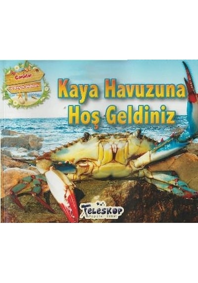 Kaya Havuzuna Hoş Geldiniz- Teleskop Popüler Bilim