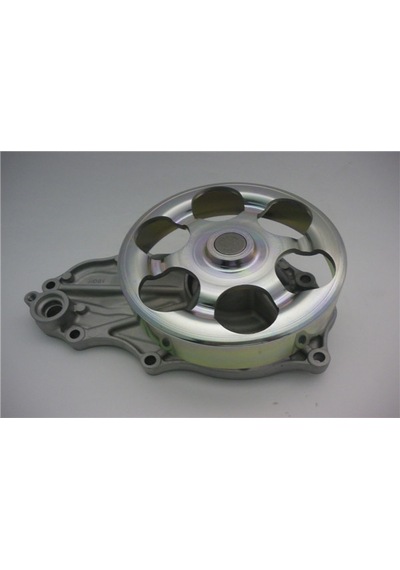 Depomıx Devirdaim Su Pompası Honda Cıvıc Type-r 2.0l K20a2 Ep3 01-05