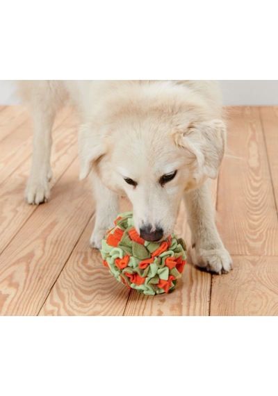 Köpekler İçin Koklama Topu, Geri Dön. Pes