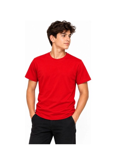 Erkek Çocuk Basic Bisiklet Yaka Kısa Kollu Slim Fit Yazlık Tişört Çok Renkli