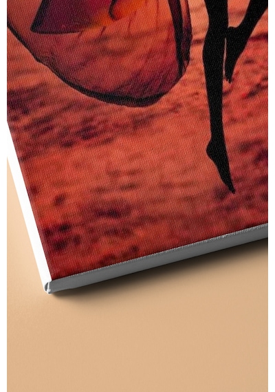 Webstyle Sayılarla Boyama Seti Kasnaklı Uçma Hayali 40 X 50 Cm
