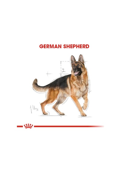 Royal Canin German Shepherd Tavuklu Alman Kurdu Yetişkin Köpek Maması 11 KG