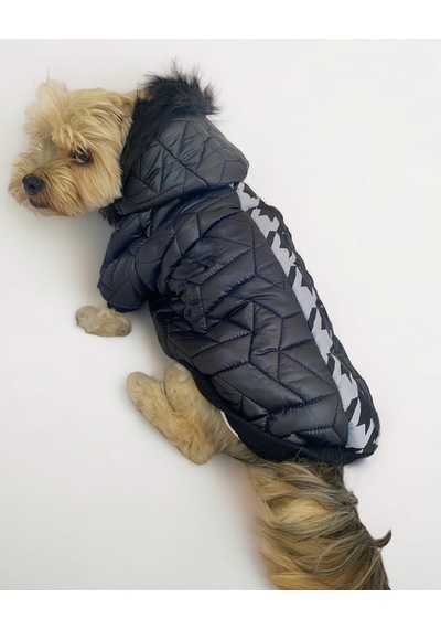 Kemique Luxy Black Köpek Montu Ceketi Köpek Dış Giyim