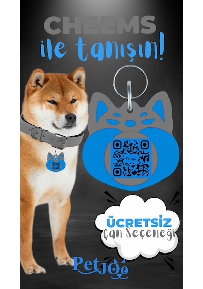 Petjoo 18.Cheems Mavi-Gri Qr'lı Köpek Künyesi