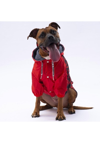 Pawstar Kırmızı Dijon Büyük Irk Yağmurluk