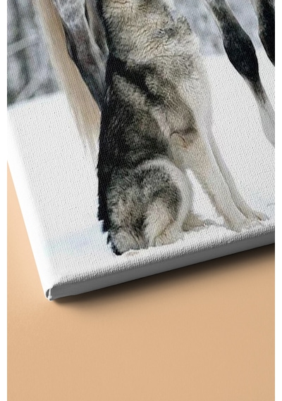 Webstyle Sayılarla Boyama Seti Kasnaklı Benekli At Ve Kurt 40 X 50 Cm