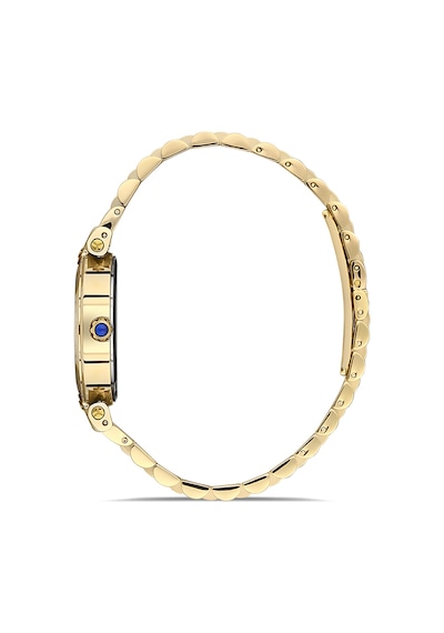 Momentus Cs380g-15sg Kadın Kol Saati Gold