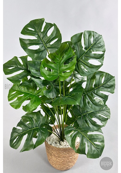 Yapay Monstera Deve Tabani 65 Cm Kulplu Hasir Saksıda Krem