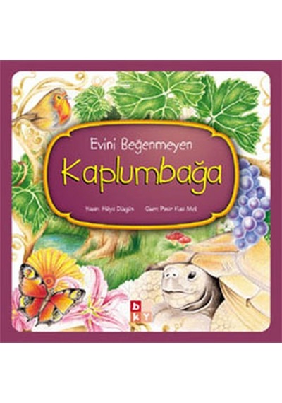 Evini Beğenmeyen Kaplumbağa - Hülya Düzgün - Babıali Kültür
