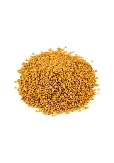 Lokman Tane Sarı Hardal 100 G