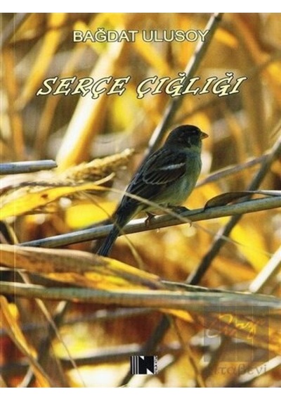 Serçe Çığlığı - Bağdat Ulusoy - Nitelik Kitap