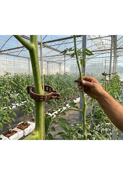 Bitki Klipsi Domates Klipsi 250 Adet 25 Mm Gövde Sarmaşık Bağlama