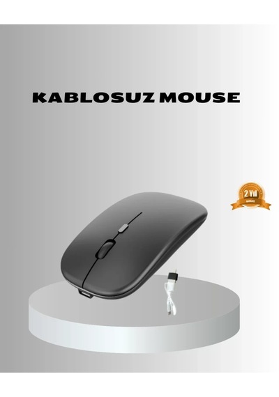 Home Kablosuz Gaming Mouse Ayarlanabilir, Ergonomik