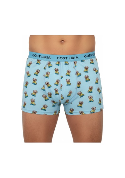 Gost Liria Cute Dog Desenli Erkek Boxer Mavi