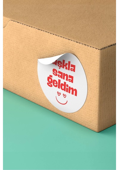 Aşkla Sana Geldim Sticker 3x3cm St2263 Çok Renkli
