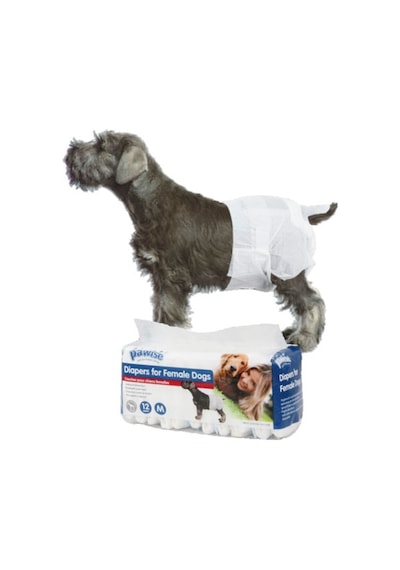 Muratech Pawise Köpek Alt Bağlama Bezi Xl Boy 12 Adet