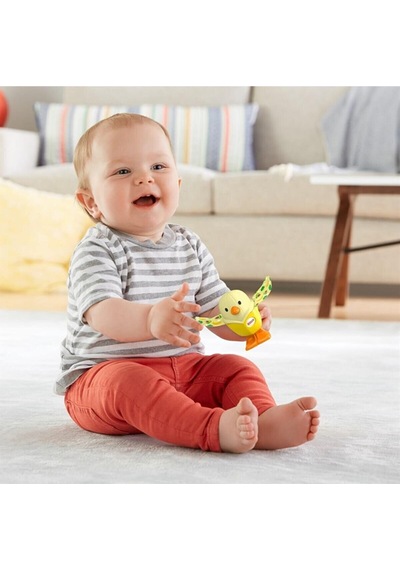 Fisher Price Sürprizli Oyuncaklar