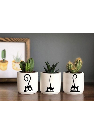 Kedi Desenli Saksı Çiçeksiz - Küçük Boy Sukulent Saksısı Çizim Kedicik