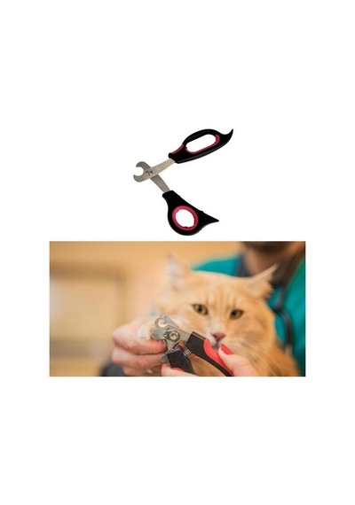 Büro Ev Evcil Hayvanı İçin Mini Çelik Uç Kedi Köpek Pati Tırnak Bakım Makası