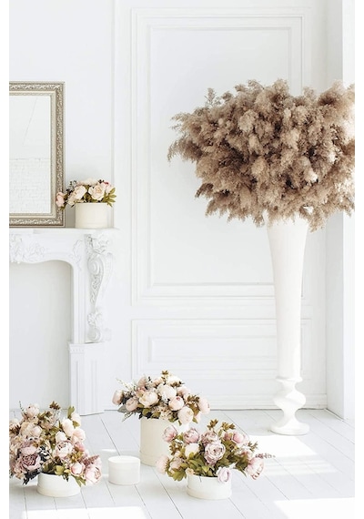 Alyones 10 Adet Kabarık Pampas Otu 100cm Doğal Kuru Pampas Dekor Boho Oda Çiçekleri Dekorasyonu